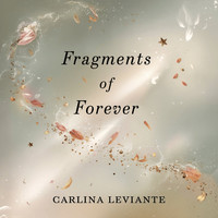 Fragments of Forever