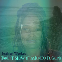 Take It Slow (Flamenco Fusion)