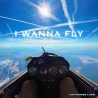 I Wanna Fly