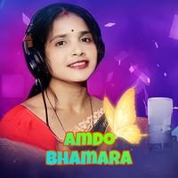 Amdo Bhamara