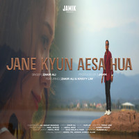 Jane Kyun Aesa Hua