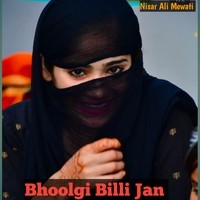 Bhoolgi Billi Jan