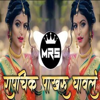 Rapchik Pakharu Gaval (Dj Mrs)