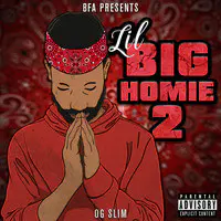 Lil Big Homie 2