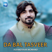 Da Bal Tasveer