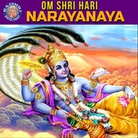 Om Shri Hari Narayana