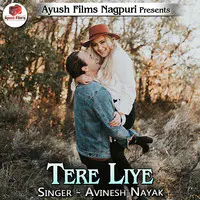 Tere Liye