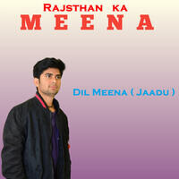 Rajasthan Ka Meena