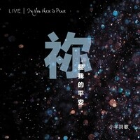 祢是我的平安 (Live)