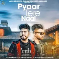 Pyar Tere Naal