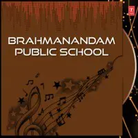 Brahmanandam Public School