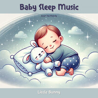 Baby Sleep Music - Little Bunny