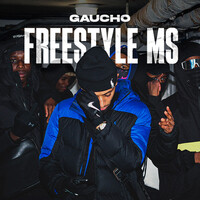 Freestyle MS