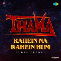 Rahein Na Rahein Hum Audio Teaser (From "Thama")