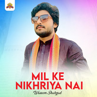 Mil Ke Nikhriya Nai