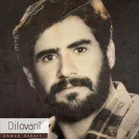 Dilovanî