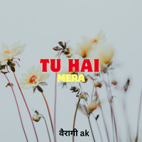 tu hai mera