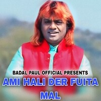 AMI HALI DER FUITA MAL