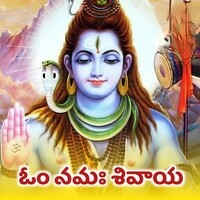 Om Namah Shivaya