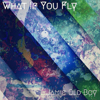 What If You Fly