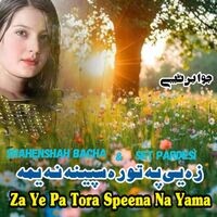 Za Ye Pa Tora Speena Na Yama Jawabi Tapay