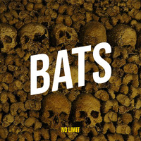 Bats Song Download: Play & Listen Bats German MP3 Song by No Limit @Gaana