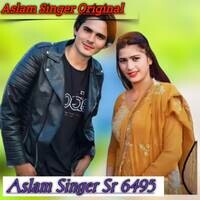 Aslam Singer Sr 6495