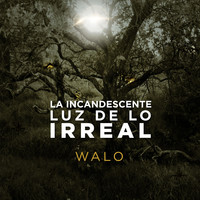 La Incandescente Luz De Lo Irreal