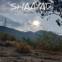 Shaayad