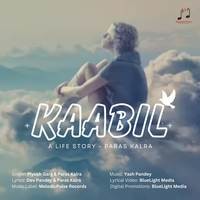 Kaabil - A Life Story