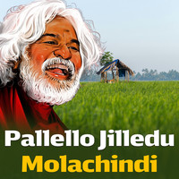 Pallello Jilledu Molachindi