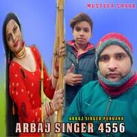Arbaj Singer 4556