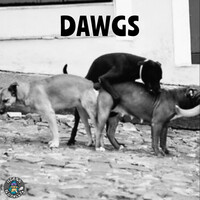 Dawgs
