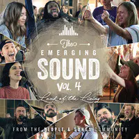 The Emerging Sound, Vol. 4