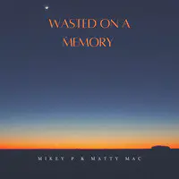 Wasted on a Memory