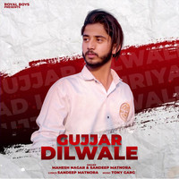 Gujjar Dilwale