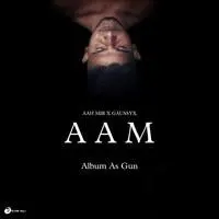 Aam (Album As Gun)