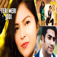 Teri Meri Jodi