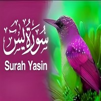 Surah Yasin