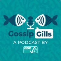 Gossip Gills - season - 2025