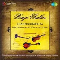 Ragasudha Shanmukhapriya Instrumental Collections