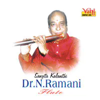 Dr.N.Ramani (Flute) - 05