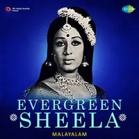 Evergreen Sheela