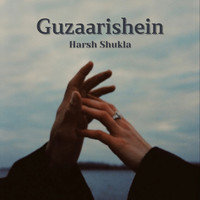 Guzaarishein