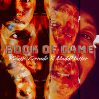 Book of Game