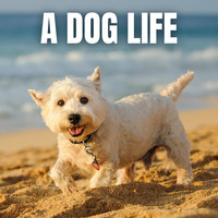 A Dog Life