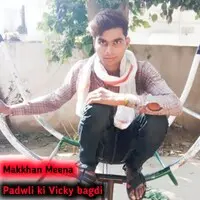 Padwli ki Vicky bagdi