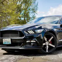 Mustang