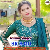 Aslam Singer SR 8410