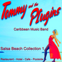 Salsa Beach Collection 1 (Restaurant Hotel Cafe Poolside)